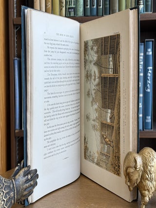 The Book of Duck Decoys their Construction, Management, and History