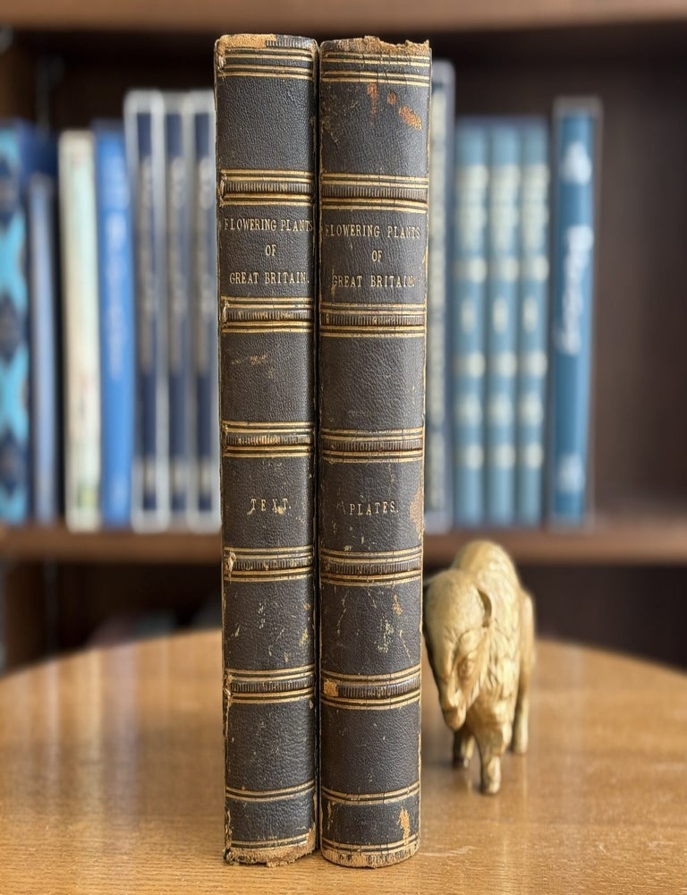Item #0103876 The Flowering Plants and Ferns of Great Britain (3 Volumes in 2). Anne Pratt.