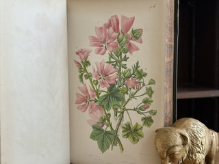 The Flowering Plants and Ferns of Great Britain (3 Volumes in 2)