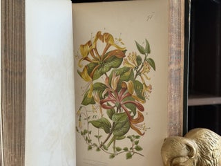 The Flowering Plants and Ferns of Great Britain (3 Volumes in 2)