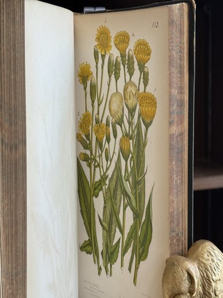 The Flowering Plants and Ferns of Great Britain (3 Volumes in 2)