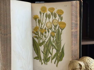 The Flowering Plants and Ferns of Great Britain (3 Volumes in 2)