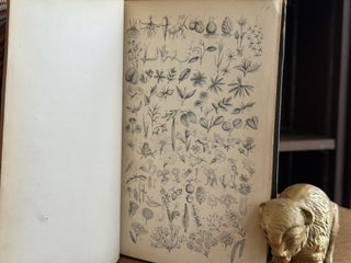 The Flowering Plants and Ferns of Great Britain (3 Volumes in 2)