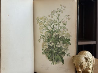 The Flowering Plants and Ferns of Great Britain (3 Volumes in 2)
