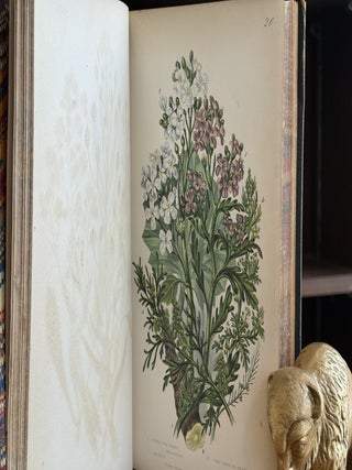 The Flowering Plants and Ferns of Great Britain (3 Volumes in 2)