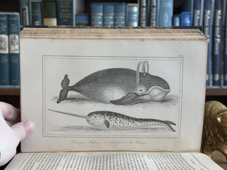 Buffon's Natural History / 2 volume set; Embellished With Several Hundred Subjects Elegantly Engraved, in two volumes