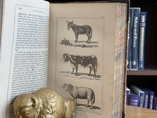 Buffon's Natural History / 2 volume set; Embellished With Several Hundred Subjects Elegantly Engraved, in two volumes