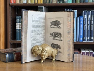 Buffon's Natural History / 2 volume set; Embellished With Several Hundred Subjects Elegantly Engraved, in two volumes