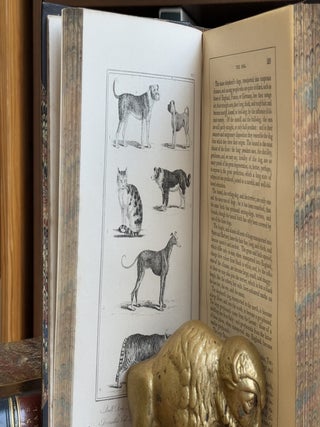Buffon's Natural History / 2 volume set; Embellished With Several Hundred Subjects Elegantly Engraved, in two volumes