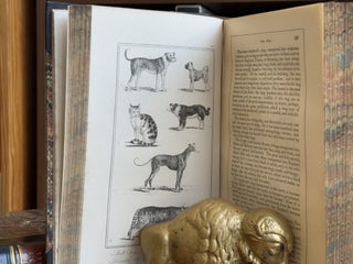 Buffon's Natural History / 2 volume set; Embellished With Several Hundred Subjects Elegantly Engraved, in two volumes