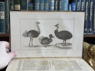 Buffon's Natural History / 2 volume set; Embellished With Several Hundred Subjects Elegantly Engraved, in two volumes